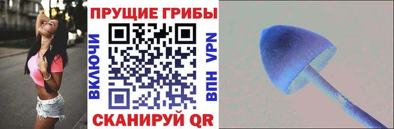 Псилоцибиновые грибы MAGIC MUSHROOMS  закладка  Жирновск 